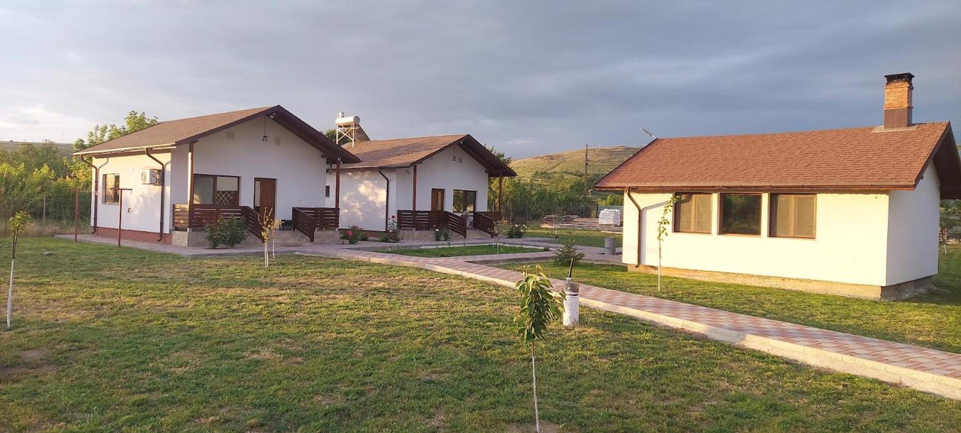 Zander House Holiday home